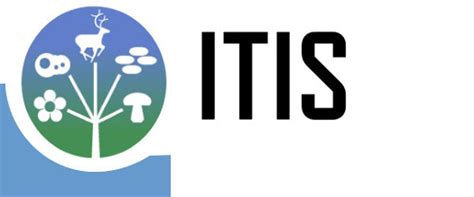 itis login|Home .